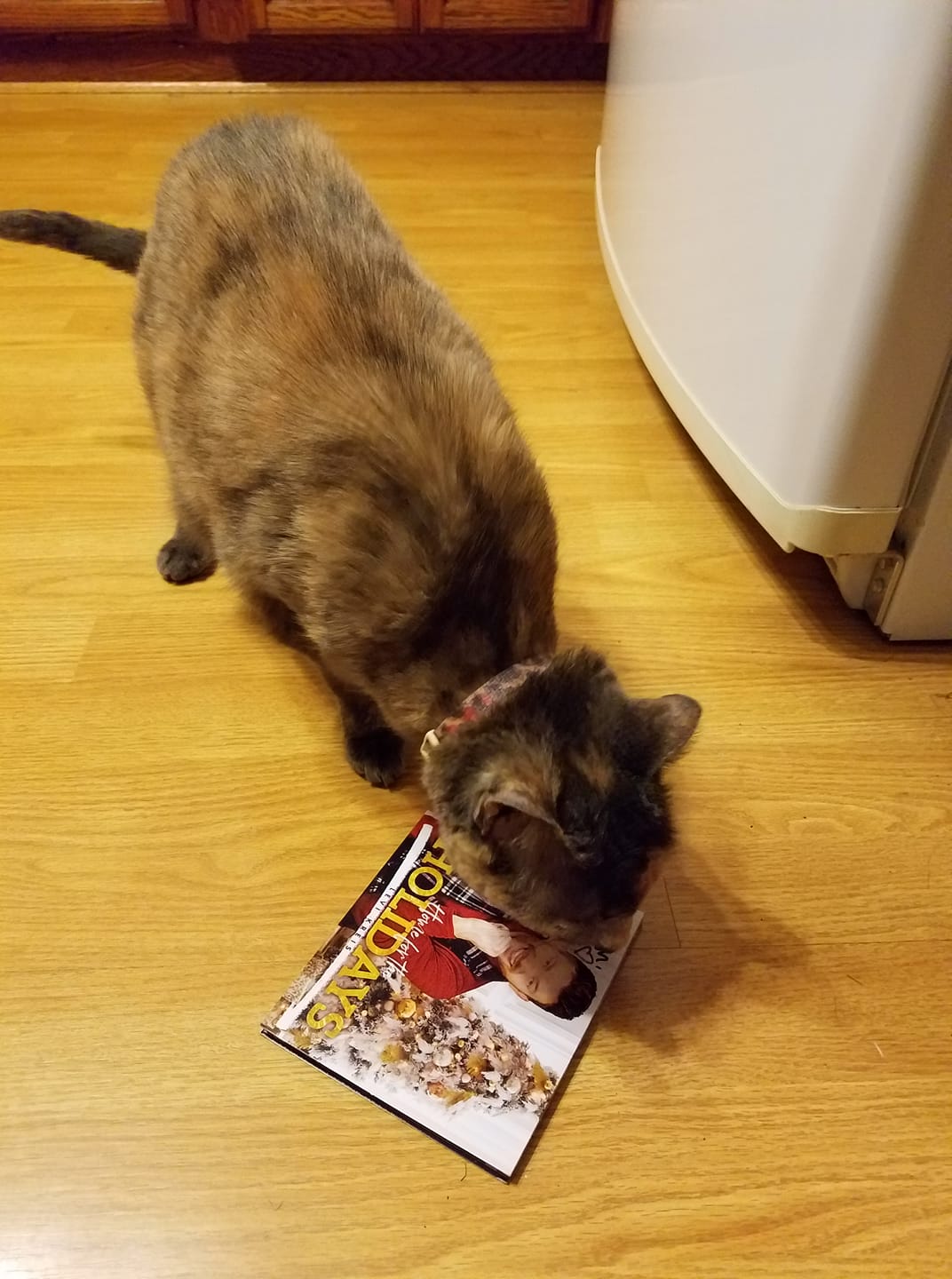 Home For The Holidays – Levi Kreis Christmas Album (CD)