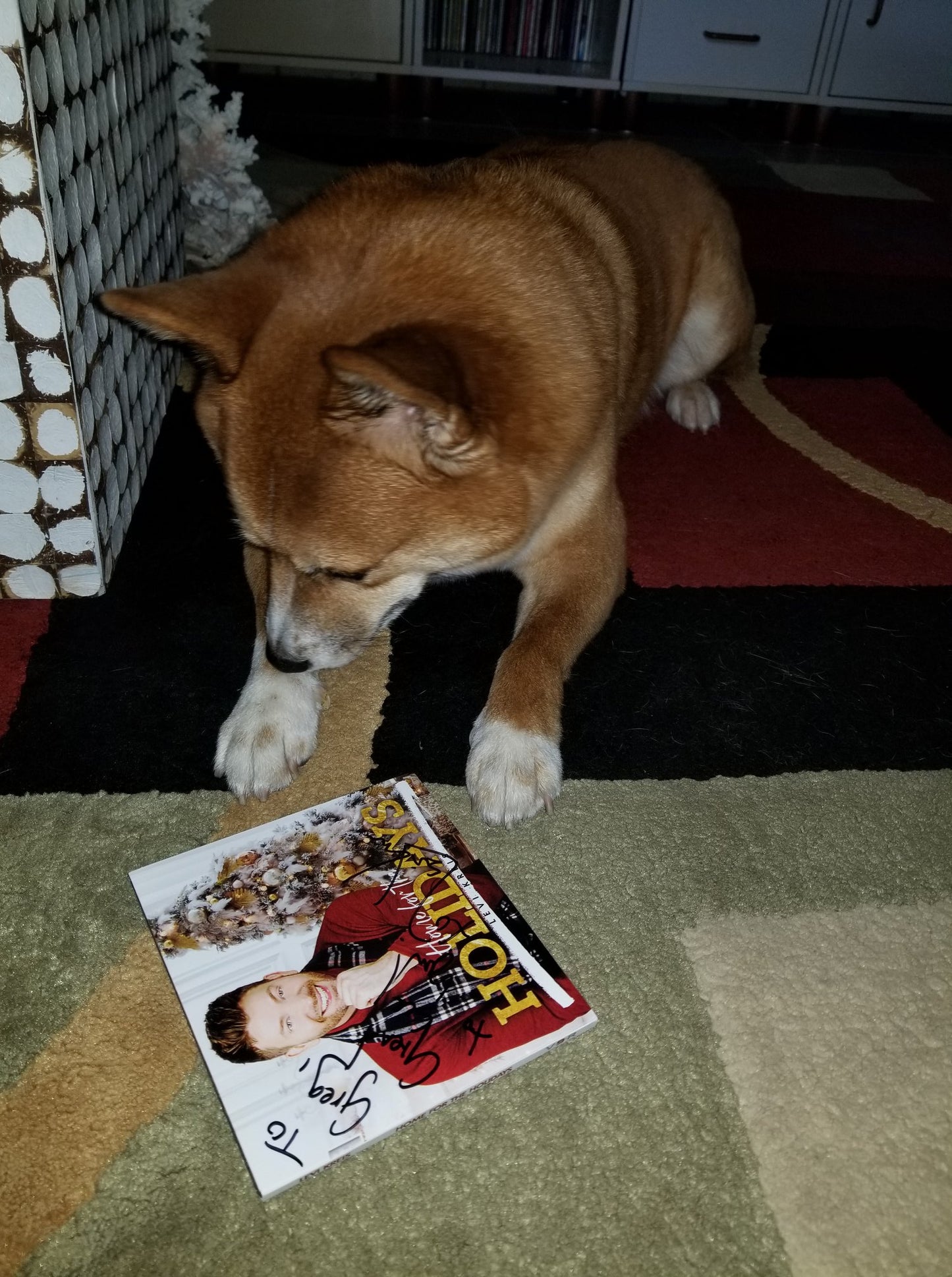 Home For The Holidays – Levi Kreis Christmas Album (CD)